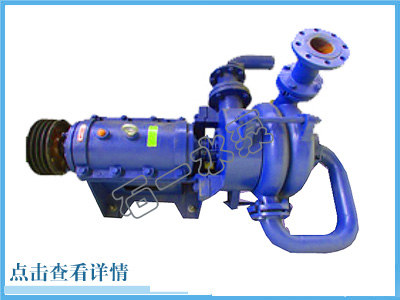 四川SYS-II型压滤机给料泵